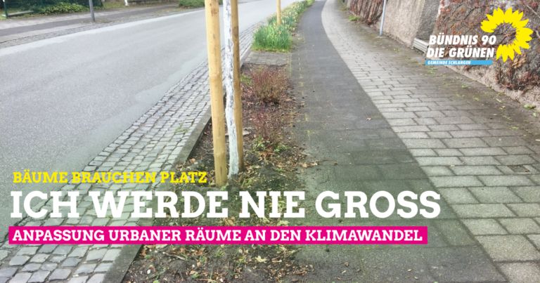 Anpassung urbaner Räume an den Klimawandel