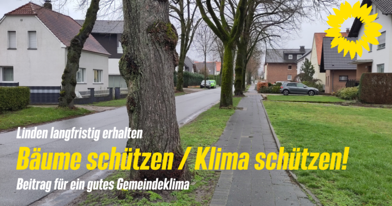 Antrag zum Schutz der Alleenbäume in der Lindenstraße