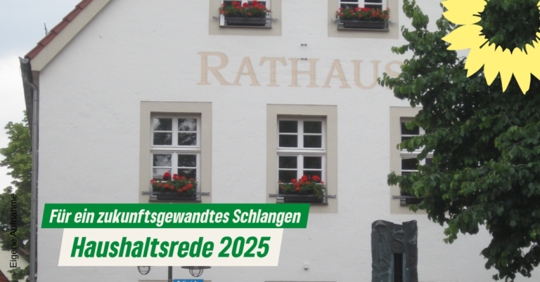 Haushaltsrede 2025
