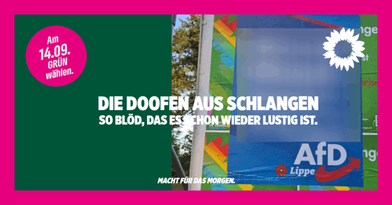 AFD zerstört Plakate