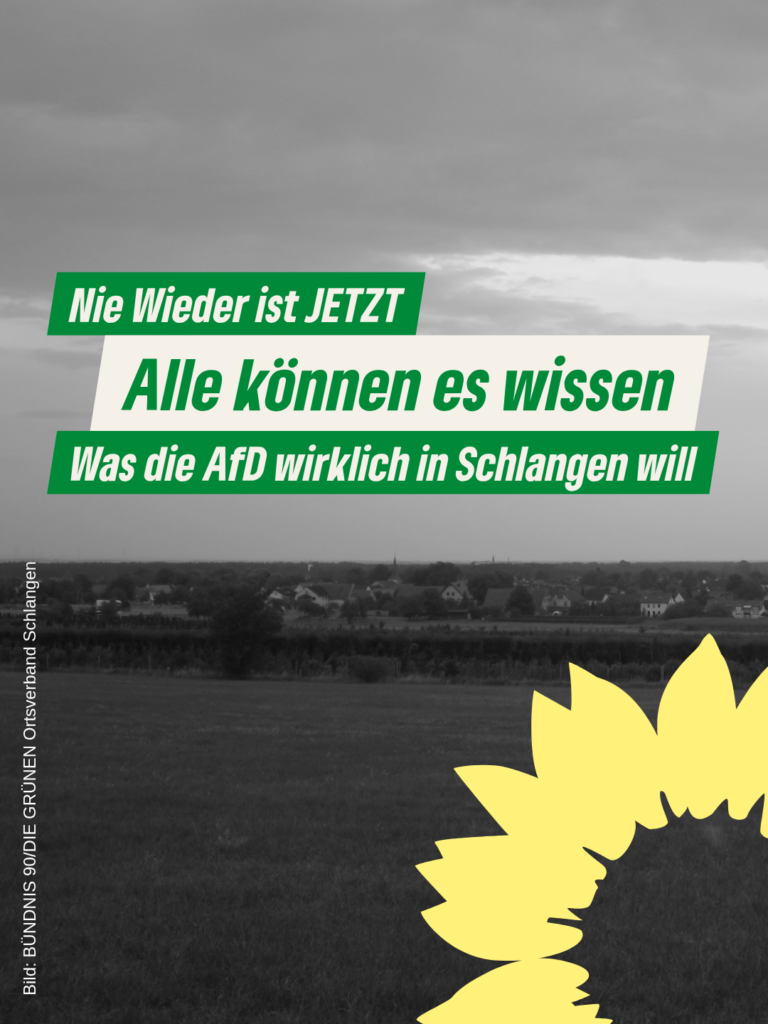 Was die AfD wirklich in der Gemeinde Schlangen will!